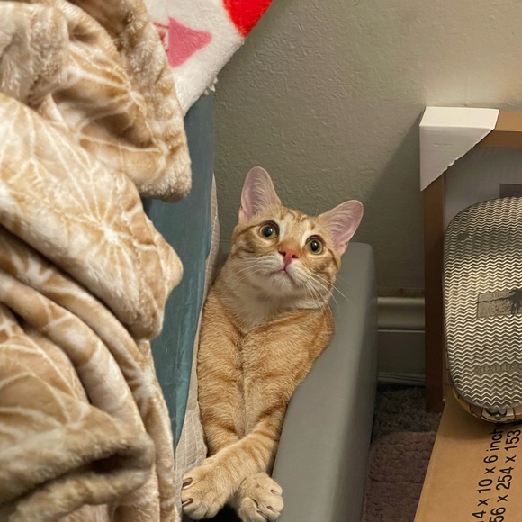 Meet your Posher, Kristina! - Picture 15 of 16